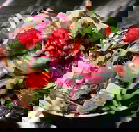 Osteria Antica - Nambucca Heads Accommodation