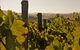 Wimbaliri Wines - thumb 0