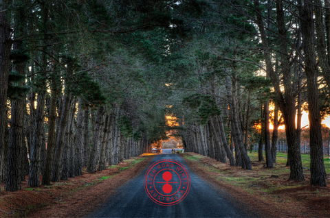Eden Road Wines - Nambucca Heads Accommodation 1