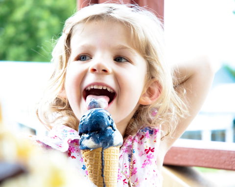 Kangaroo Valley Fudge House And Ice Creamery - Nambucca Heads Accommodation 2