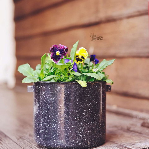 The York Mill - Nambucca Heads Accommodation 0