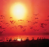 TINH and LAN Vietnamese Restaurant - Nambucca Heads Accommodation