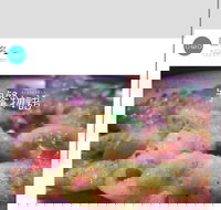 Cafe Invigor8 - Nambucca Heads Accommodation