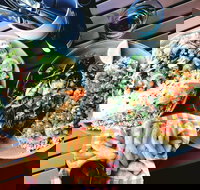 Luxe Fish - Nambucca Heads Accommodation