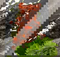 Royal India Restobar - Nambucca Heads Accommodation