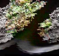 Arthur Waterhouse Lounge - Nambucca Heads Accommodation