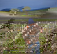 Kurtz Family Vineyards - Nambucca Heads Accommodation