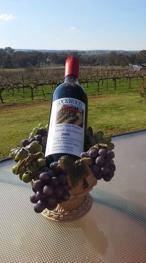 Lockwood Vineyard - Nambucca Heads Accommodation 2