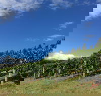 Freycinet Vineyard - Nambucca Heads Accommodation