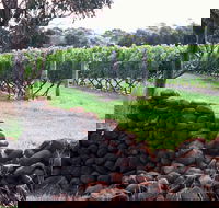 Spring Vale Vineyard - Nambucca Heads Accommodation