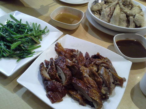 G Tree Cafe - Nambucca Heads Accommodation 0