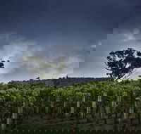 Dalrymple Vineyards - Nambucca Heads Accommodation