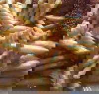 Fish Food with a Difference - Nambucca Heads Accommodation