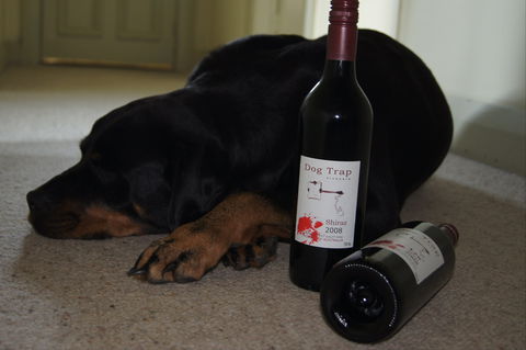 Dog Trap Vineyard - Nambucca Heads Accommodation 0