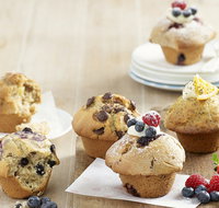 Muffin Break - Caboolture - Nambucca Heads Accommodation