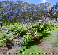 Woongooroo Estate Winery - Nambucca Heads Accommodation