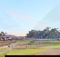 Blacklea Vineyard and Olive Grove - Nambucca Heads Accommodation