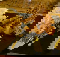 Jack and Shanan's - Nambucca Heads Accommodation