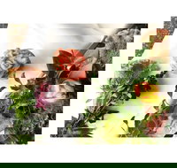 Skylark Room - Nambucca Heads Accommodation