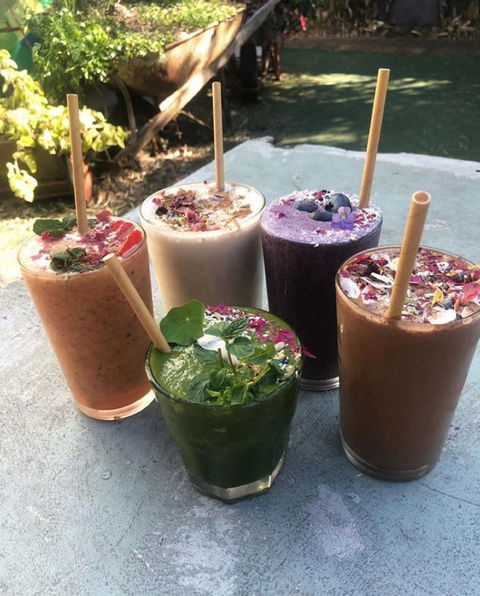 Garden Grub Cafe - Nambucca Heads Accommodation 0