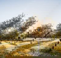 Guneemooroo Estate - Nambucca Heads Accommodation