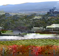 Milton Vineyard - Nambucca Heads Accommodation