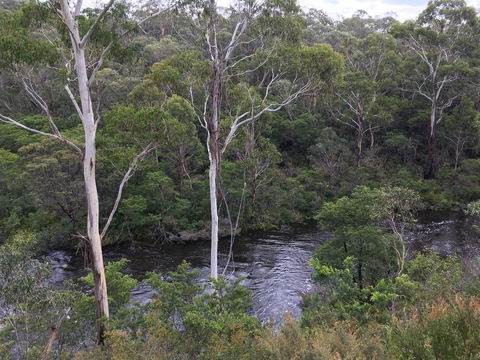 Mongarlowe Gourmet - Nambucca Heads Accommodation 2