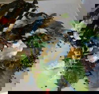 Morning Star Hotel - Nambucca Heads Accommodation