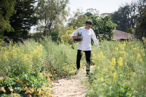 The Wild Flower Bar And Dining - Nambucca Heads Accommodation 2