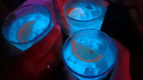 Humming Bird Dutch Cakes - Nambucca Heads Accommodation 0