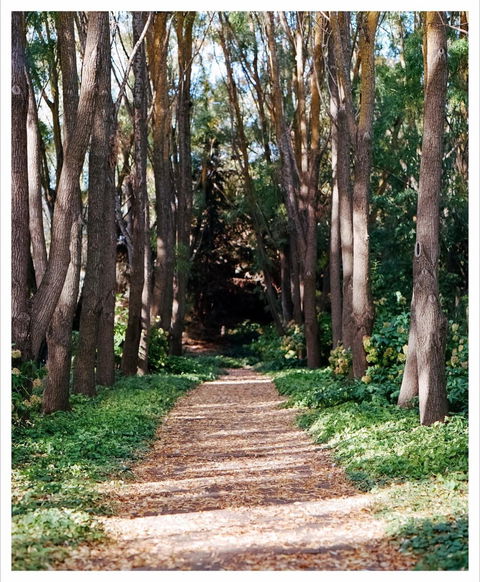 The Field Of Dreams Cafe - Nambucca Heads Accommodation 0