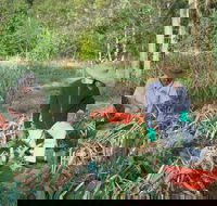 Sweet Water Farm - Nambucca Heads Accommodation