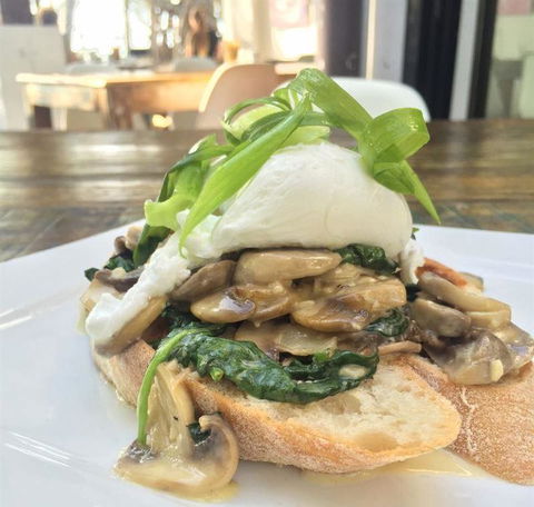 Jack And Shanan's - Nambucca Heads Accommodation 13