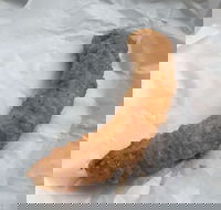 Blue Ocean - Nambucca Heads Accommodation