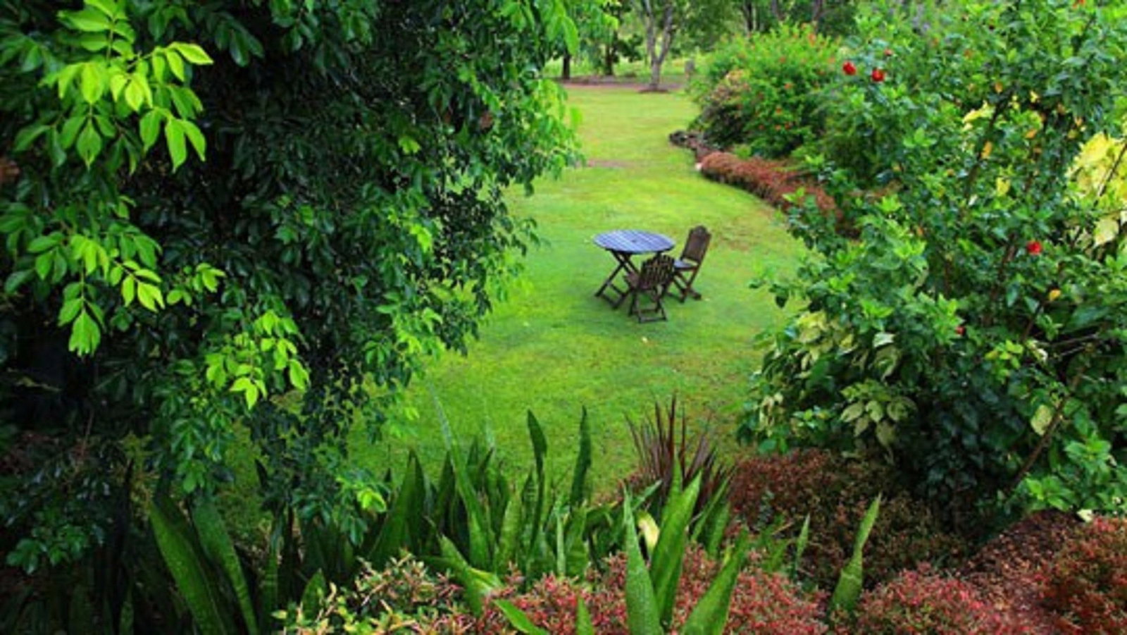 Emerald Springs NT Nambucca Heads Accommodation