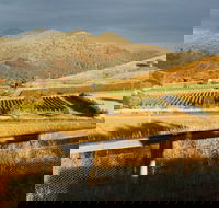 Optimiste Wines - Nambucca Heads Accommodation