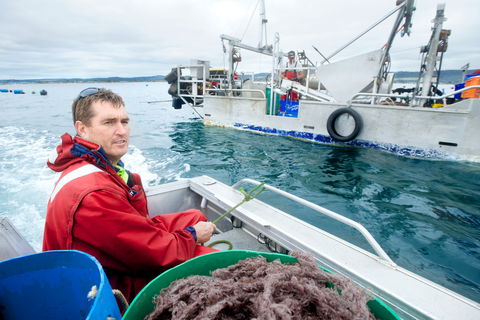 Peninsula Fresh Seafood - Nambucca Heads Accommodation 0