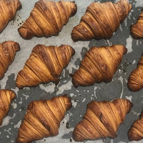 Black Cockatoo Bakery - Nambucca Heads Accommodation 0