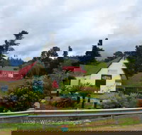 Frank's Cider House  and Cafe