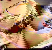 Scoops Gelatiland - Nambucca Heads Accommodation