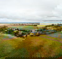 Pettavel Wines - Nambucca Heads Accommodation