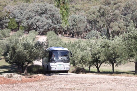 L'Oliveraie Olive Grove - Nambucca Heads Accommodation 2