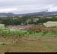 Villa d Esta Vineyard - Nambucca Heads Accommodation