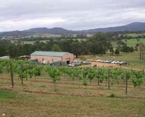 Villa D Esta Vineyard - Nambucca Heads Accommodation 0