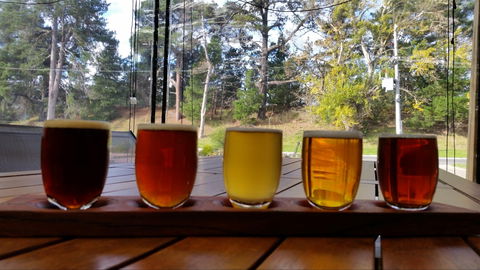Cubby Haus Brewing - Brewery And Bar - Nambucca Heads Accommodation 1