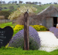 Hart of the Barossa - Nambucca Heads Accommodation