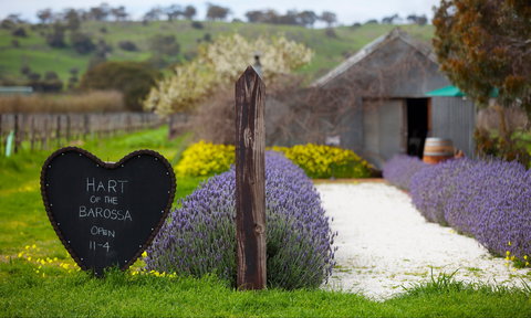 Hart Of The Barossa - Nambucca Heads Accommodation 0