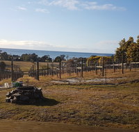 Overtime vineyard - Nambucca Heads Accommodation
