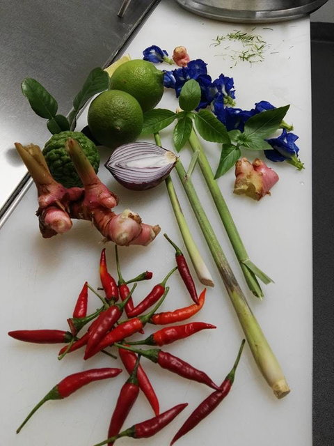 Thai Sensation - Nambucca Heads Accommodation 0