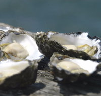 Jim Wild's Oyster Service - Nambucca Heads Accommodation